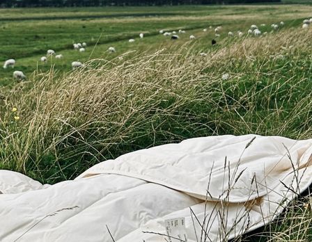 Sommer-Schurwolldecke, 155 x 220 cm