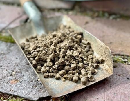 Schafwoll-Dünger, 1 kg – Bild 3